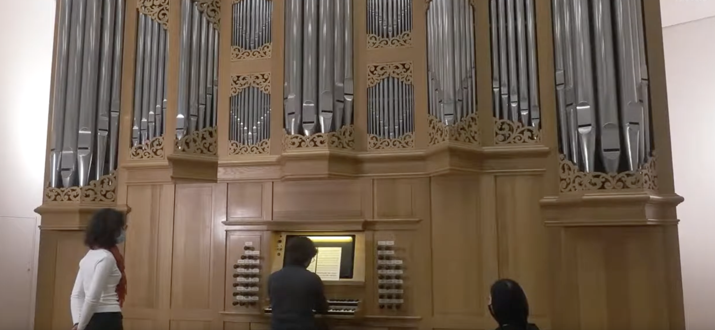 Organ Hamborg 2