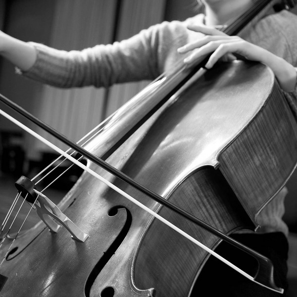 Picture of cello