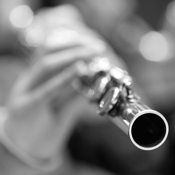 Picture of flute